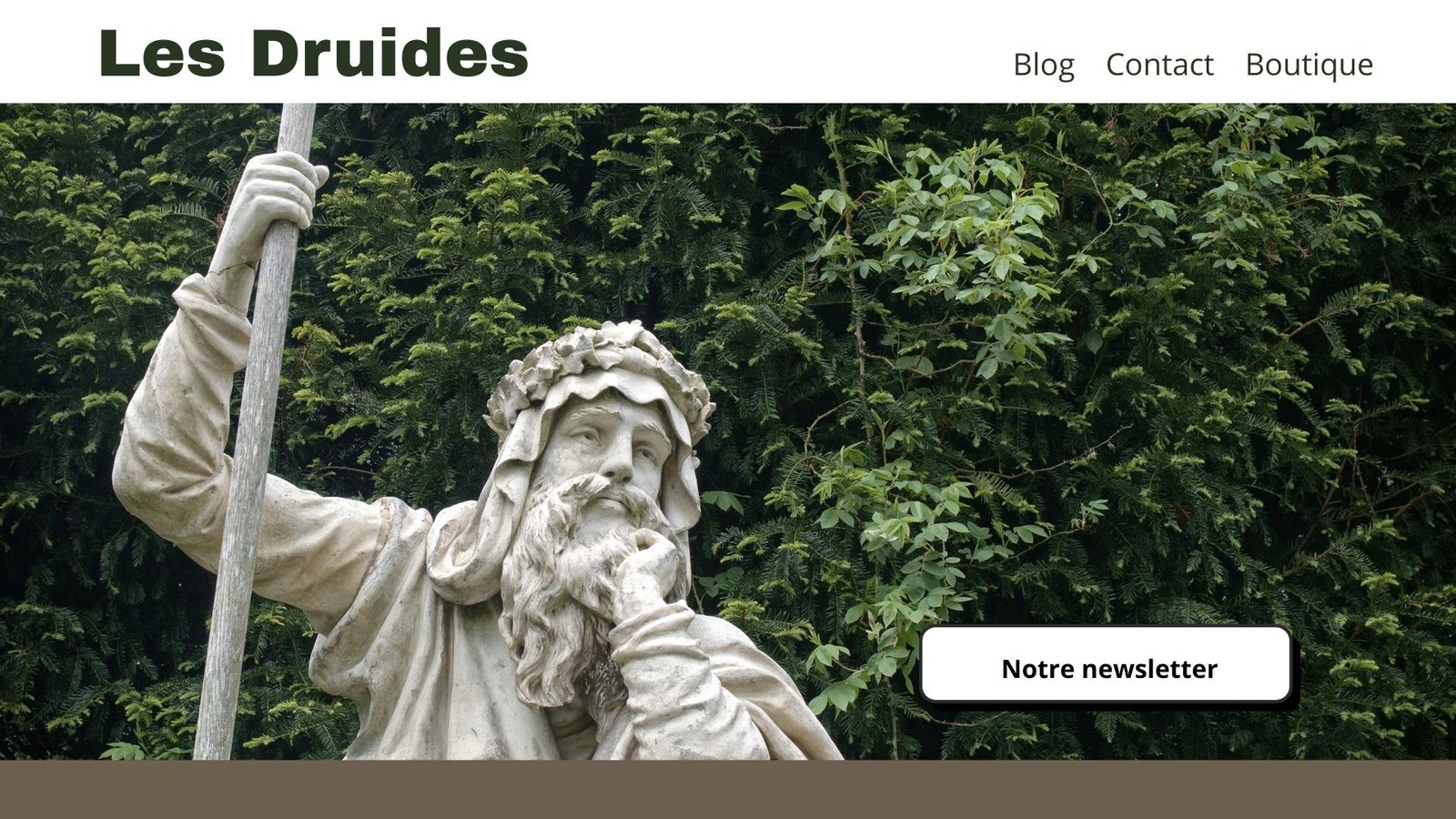 mockup article lesdruides.com