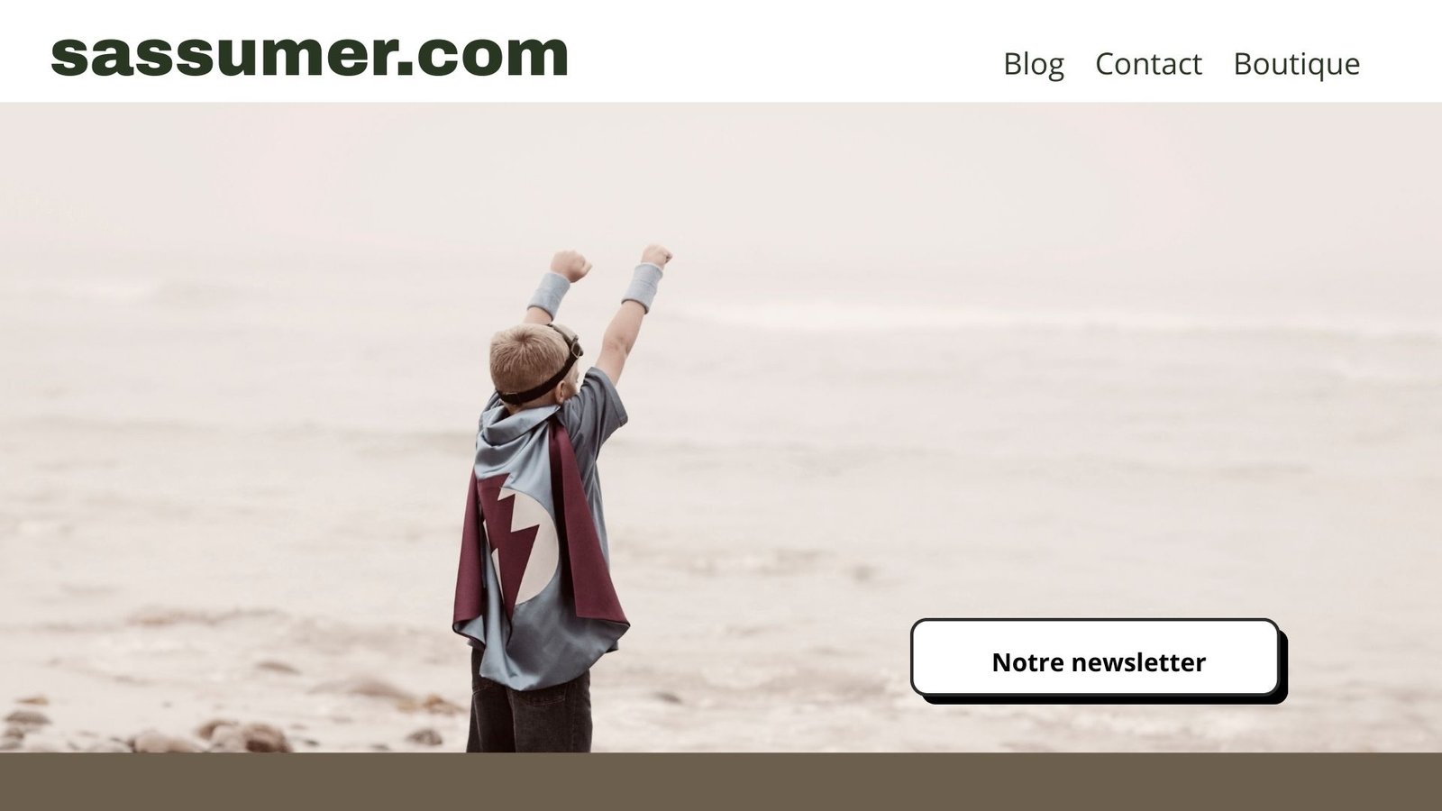 mockup article sassumer.com